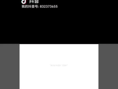 スターターモーター フェリット磁石